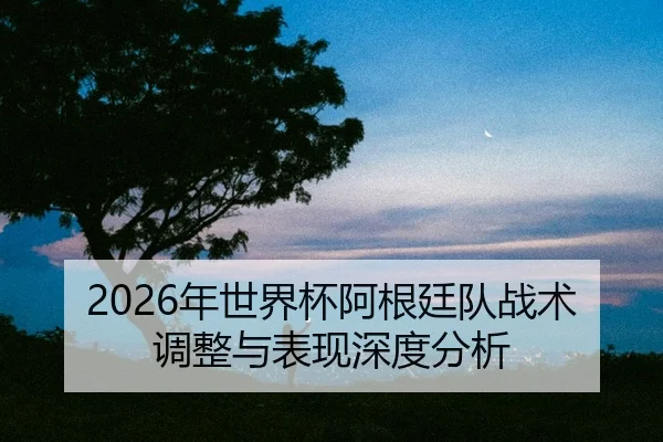 nian-shi-jie-bei-a-gen-ting-dui-zhan-shu-tiao-zheng-yu-biao-xian-shen-du-fen-xi-2-999.jpg