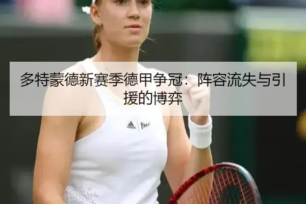 duo-te-meng-de-xin-sai-ji-de-jia-zheng-guan-zhen-rong-liu-shi-yu-yin-yuan-de-bo-yi-3-588.jpg