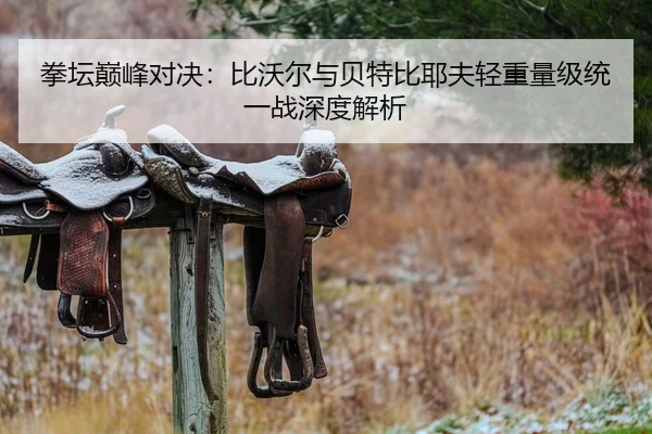 拳坛巅峰对决：比沃尔与贝特比耶夫轻重量级统一战深度解析