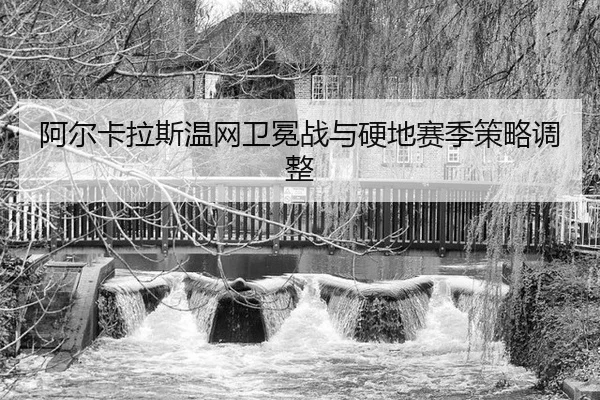 a-er-ka-la-si-wen-wang-wei-mian-zhan-yu-ying-di-sai-ji-ce-lve-tiao-zheng-2-686.jpg