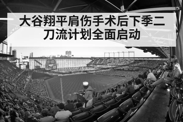 大谷翔平肩伤手术后下季二刀流计划全面启动